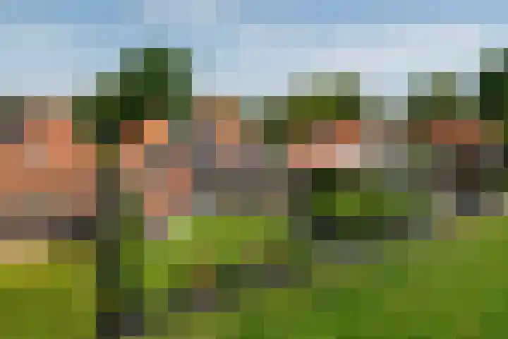 Menamerdyk 7 Bitgummole thumbnail 9
