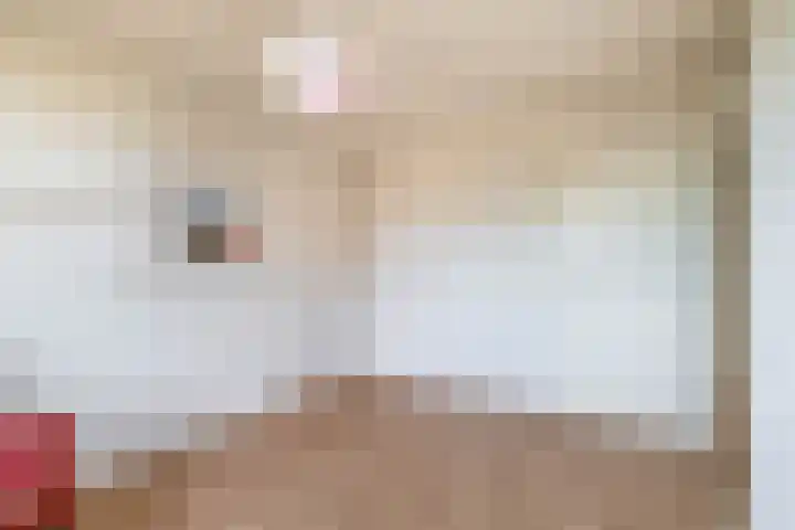 Mendeldreef 196 Lisse thumbnail 18