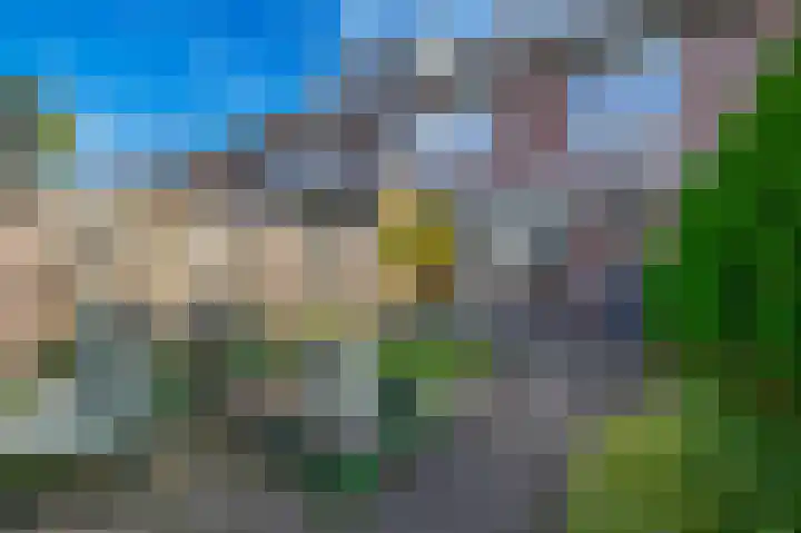 Mendeldreef 196 Lisse thumbnail 31