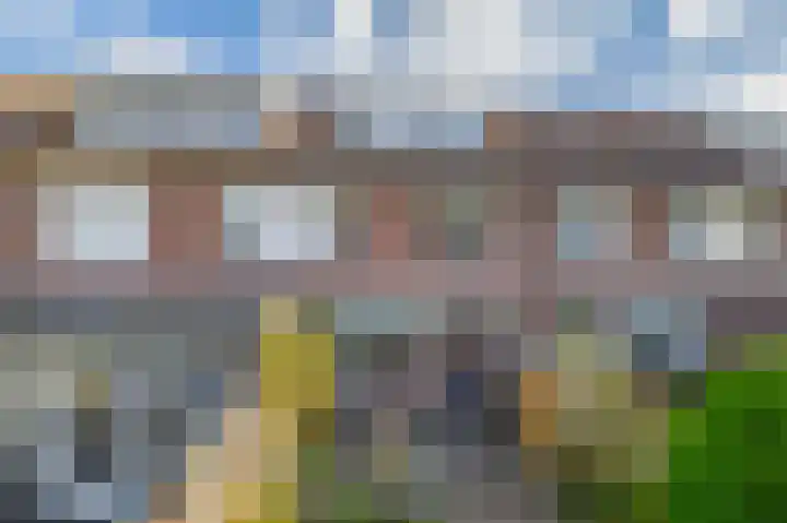 Mendeldreef 196 Lisse thumbnail 32