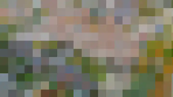 Mendeldreef 196 Lisse thumbnail 38