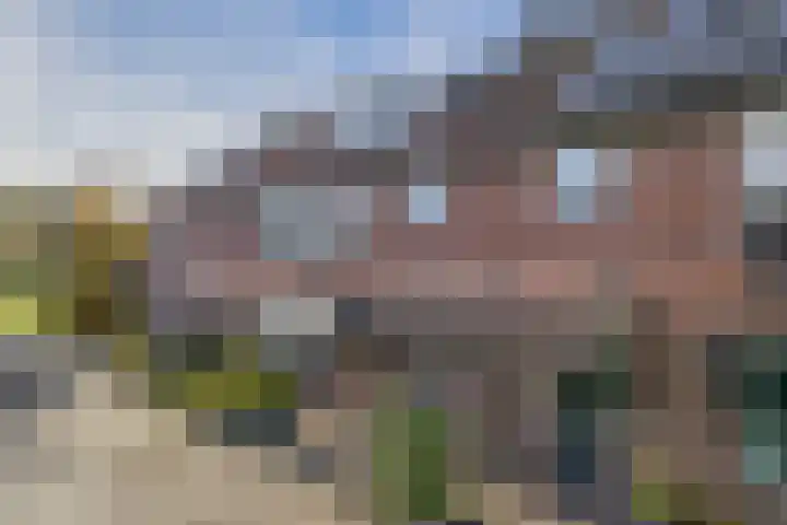 Mendeldreef 196 Lisse thumbnail 42