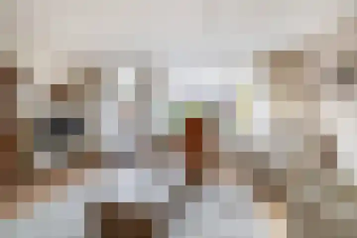 Mendeldreef 196 Lisse thumbnail 6