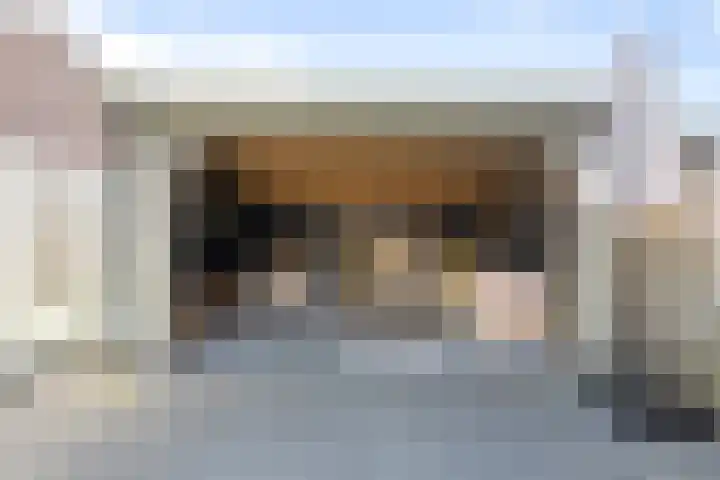 Mendeldreef 196 Lisse thumbnail 7