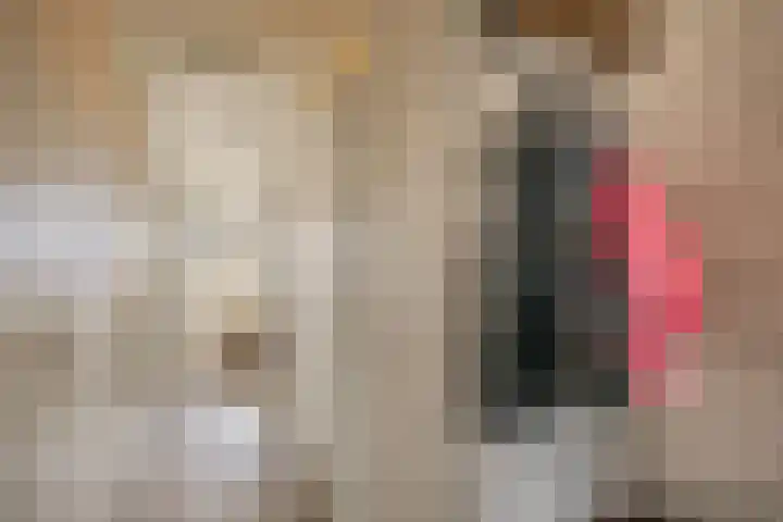 Mendeldreef 24 Lisse thumbnail 14