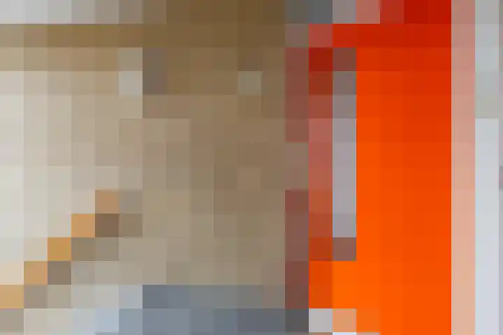 Mendeldreef 24 Lisse thumbnail 24