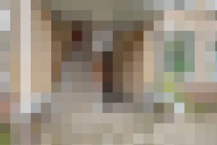 Mendeldreef 24 Lisse thumbnail 25