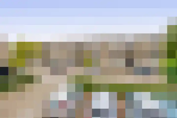 Mendeldreef 24 Lisse thumbnail 27