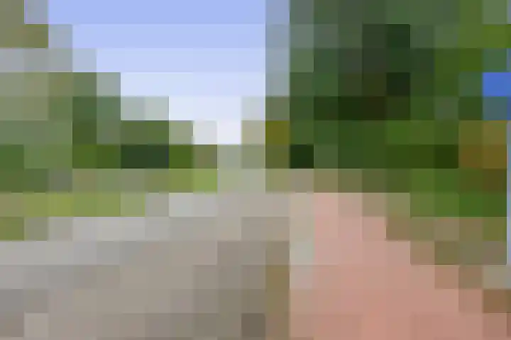 Mendeldreef 24 Lisse thumbnail 33