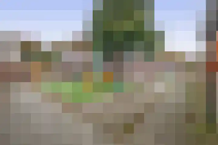 Mendeldreef 24 Lisse thumbnail 34