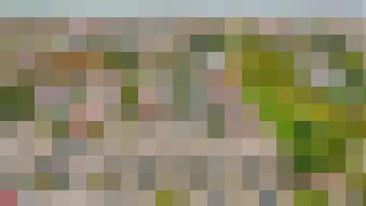 Mendeldreef 24 Lisse thumbnail 35