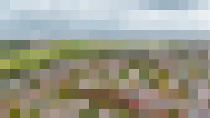 Mendeldreef 24 Lisse thumbnail 38