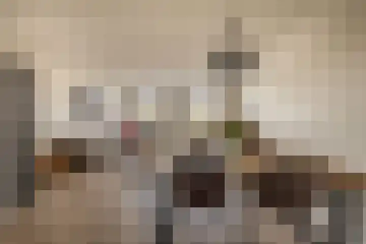 Mendeldreef 24 Lisse thumbnail 6