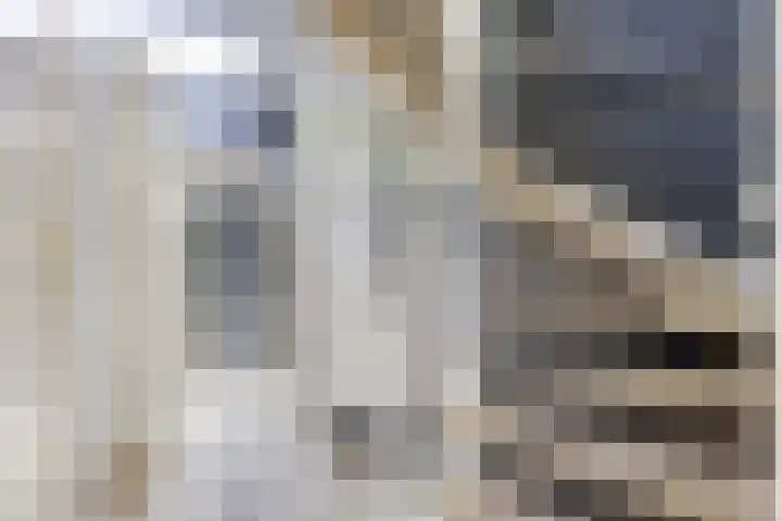 Mendelssohnrode 60 Zoetermeer thumbnail 13