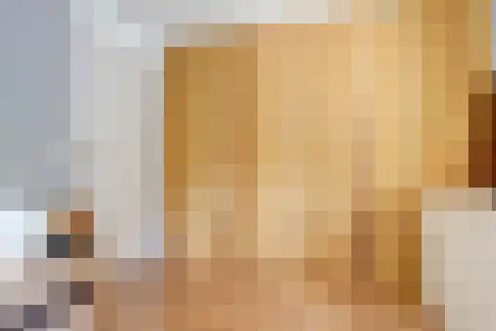 Mendelssohnrode 60 Zoetermeer thumbnail 17