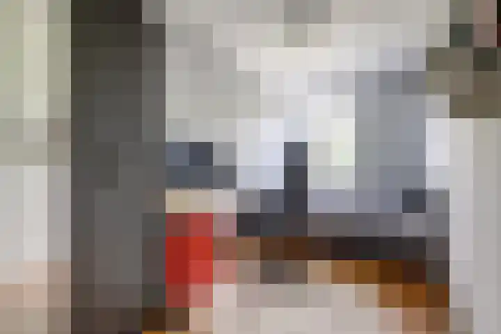 Mendelssohnrode 60 Zoetermeer thumbnail 20