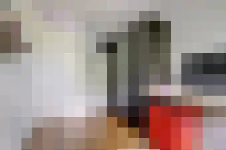 Mendelssohnrode 60 Zoetermeer thumbnail 21