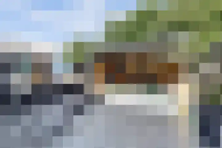 Mendelssohnrode 60 Zoetermeer thumbnail 30