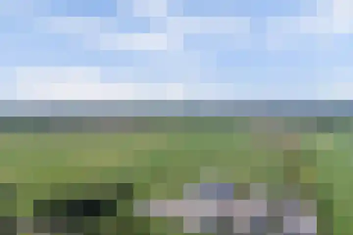 Mendelssohnrode 60 Zoetermeer thumbnail 34