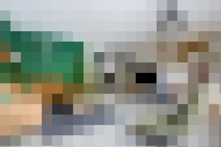 Mendelssohnrode 60 Zoetermeer thumbnail 6