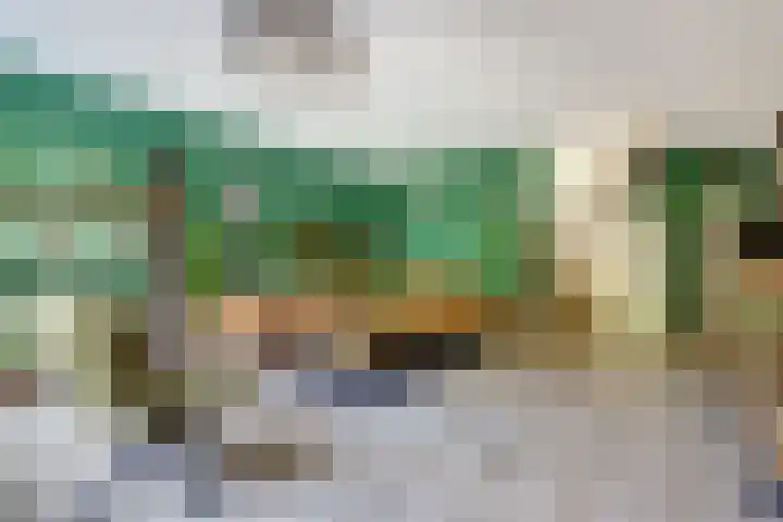 Mendelssohnrode 60 Zoetermeer thumbnail 7