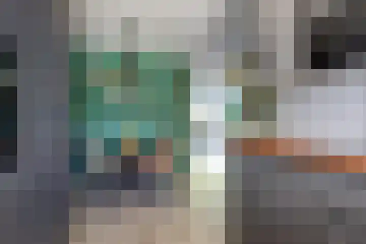 Mendelssohnrode 60 Zoetermeer thumbnail 9