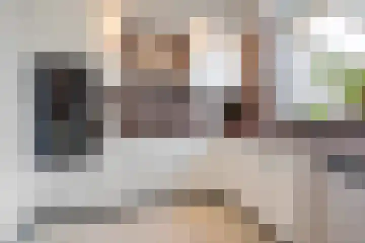 Mendelssohnstraat 19 Numansdorp thumbnail 15
