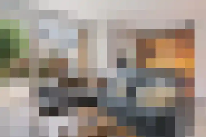 Mendelssohnstraat 19 Numansdorp thumbnail 8