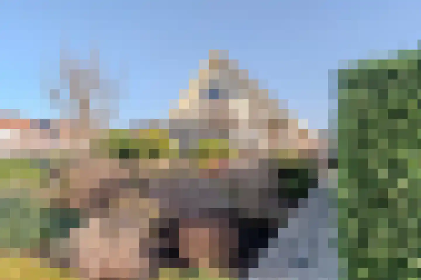 Mendelweg 2 Boskoop thumbnail 73