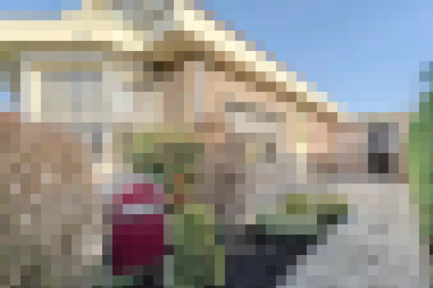 Mendelweg 2 Boskoop thumbnail 75