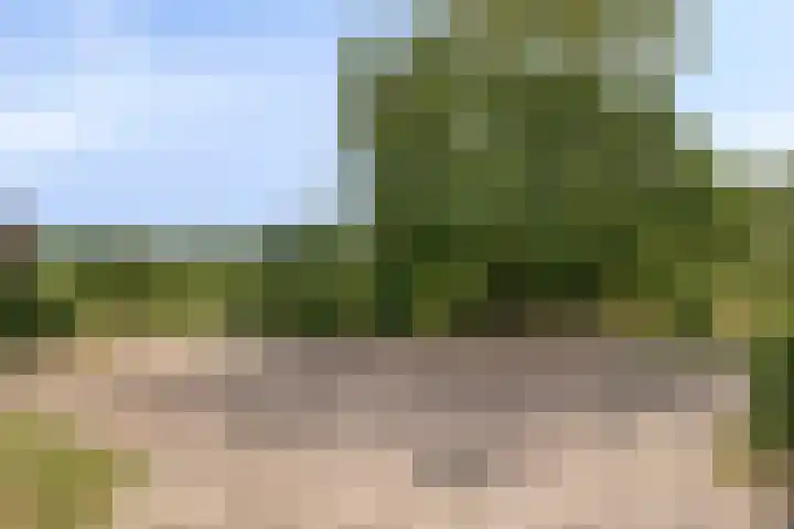 Mengersdijk 8 a Neede thumbnail 103