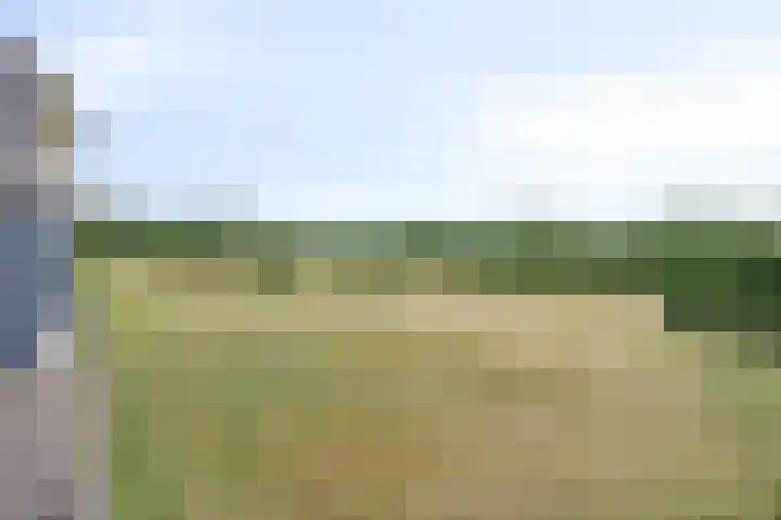 Mengersdijk 8 a Neede thumbnail 104