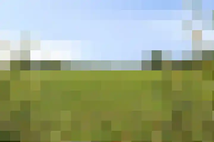 Mengersdijk 8 a Neede thumbnail 107
