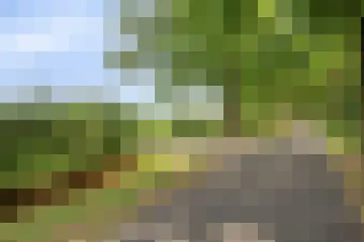 Mengersdijk 8 a Neede thumbnail 109