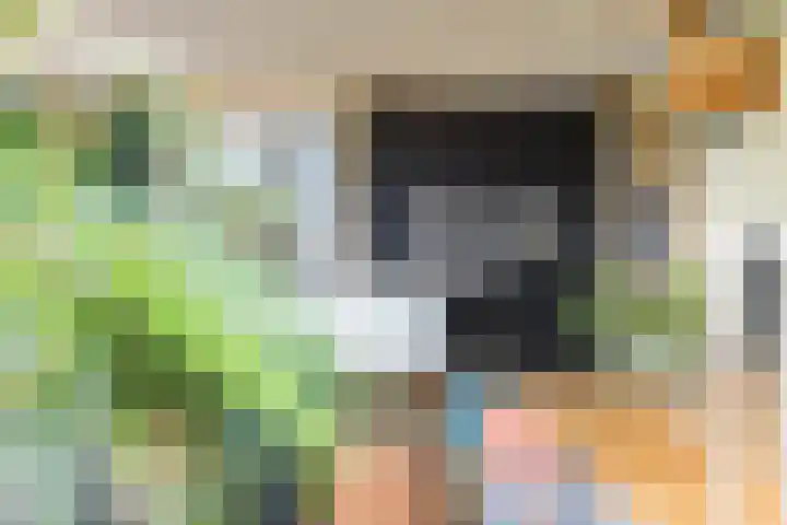 Mengersdijk 8 a Neede thumbnail 15