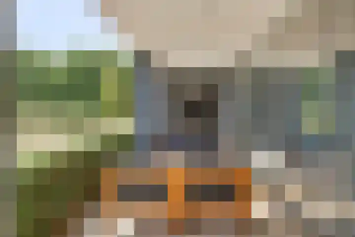 Mengersdijk 8 a Neede thumbnail 26
