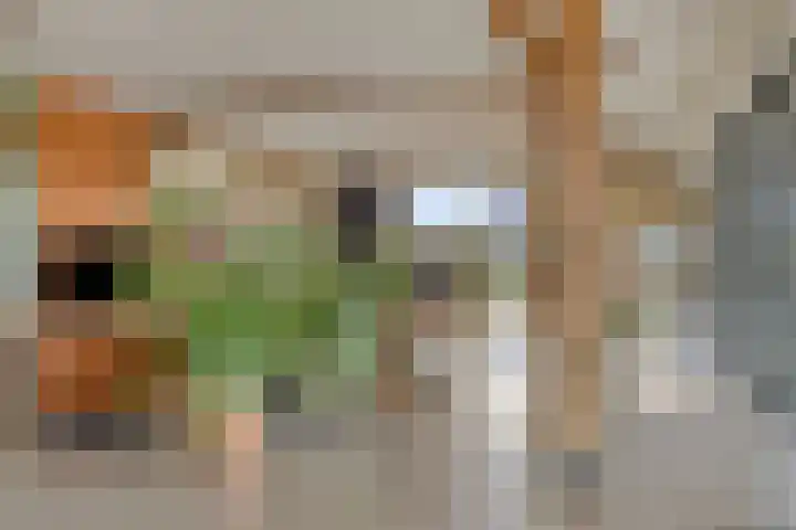 Mengersdijk 8 a Neede thumbnail 27