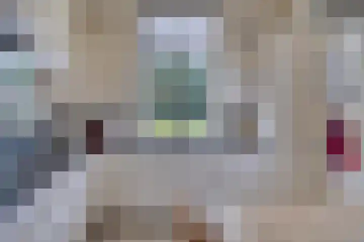 Mengersdijk 8 a Neede thumbnail 68