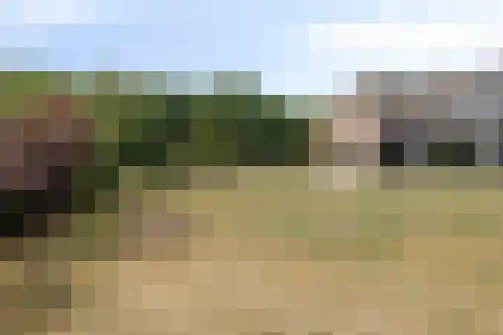 Mengersdijk 8 a Neede thumbnail 7