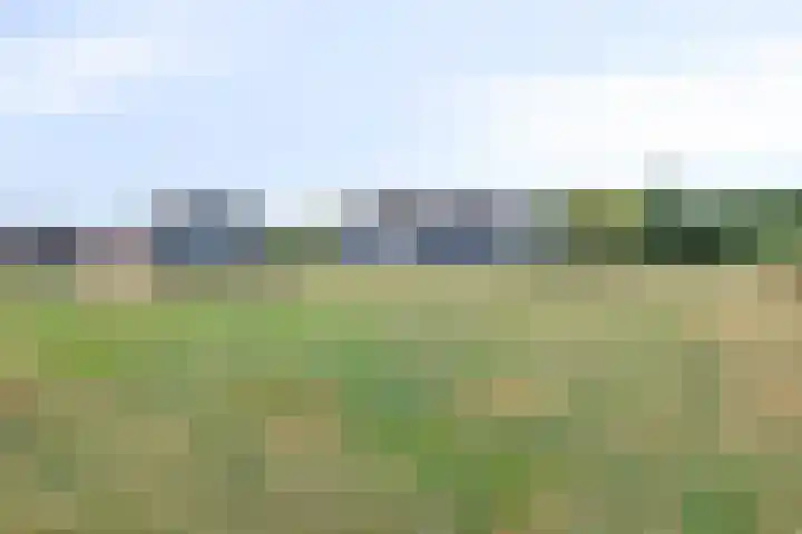 Mengersdijk 8 a Neede thumbnail 89