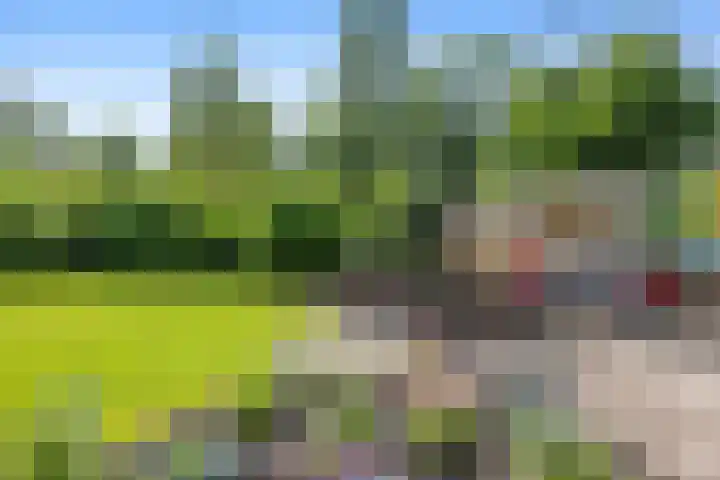 Menkemaheerd 3 Groningen thumbnail 27