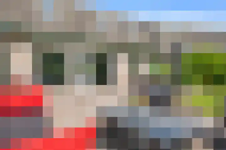 Menkemaheerd 3 Groningen thumbnail 28