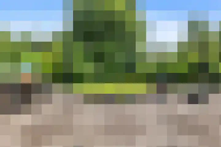 Menkemaheerd 3 Groningen thumbnail 5