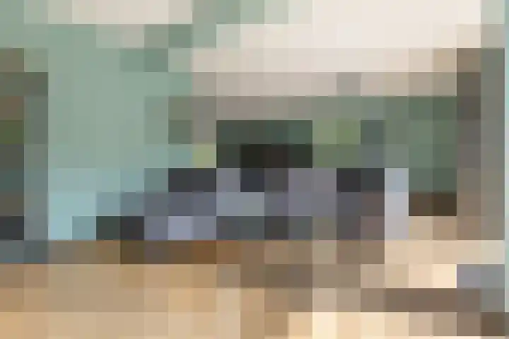 Menkemaheerd 3 Groningen thumbnail 8