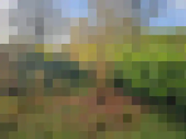 Menninge 108 Oosterwolde thumbnail 4