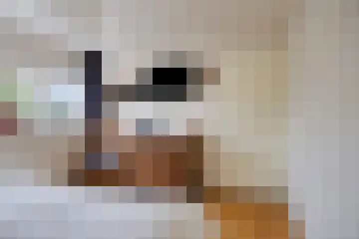 Menninge 22 Oosterwolde thumbnail 23