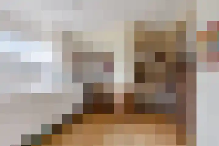 Menninge 22 Oosterwolde thumbnail 28