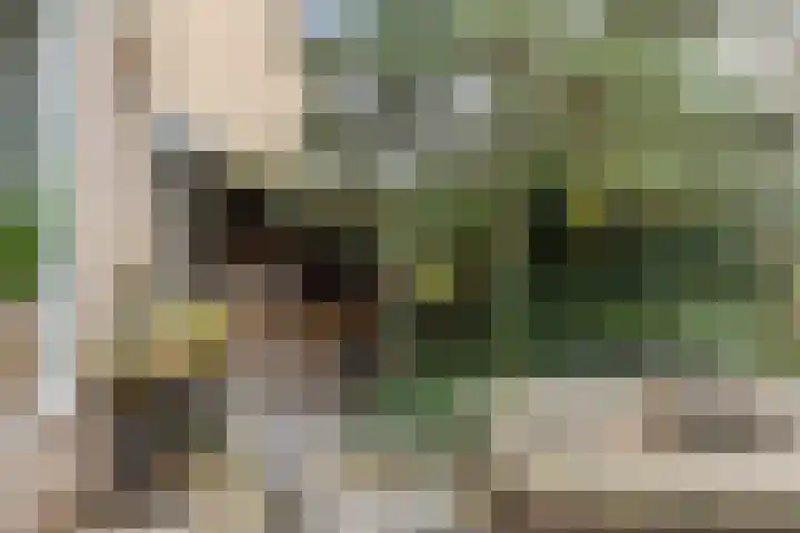 Menninge 22 Oosterwolde thumbnail 38