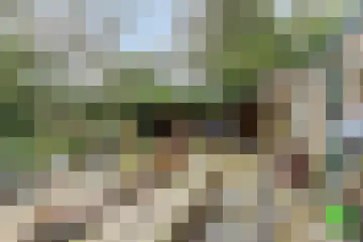 Menninge 22 Oosterwolde thumbnail 39