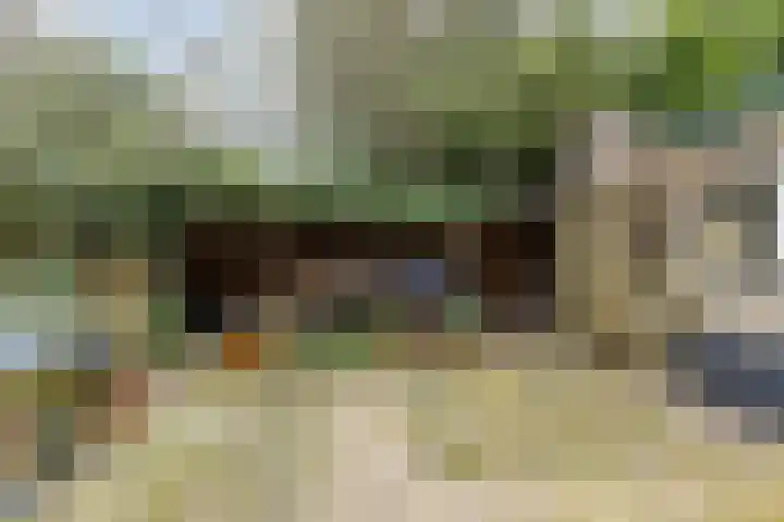 Menninge 22 Oosterwolde thumbnail 40